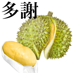 [LINEスタンプ] 熟した ドリアン 【台湾語のみ】