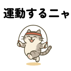 [LINEスタンプ] 運動ねこさん