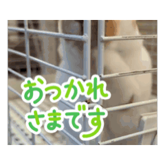 [LINEスタンプ] お気持ちを伝えたい