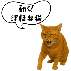 [LINEスタンプ] 動く！方言猫（津軽弁Ver2）