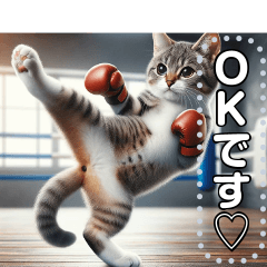 [LINEスタンプ] ねこキックボクシング
