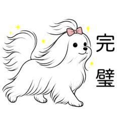 [LINEスタンプ] マルチーズ(ロングヘアスタイル)