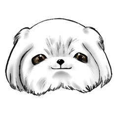 [LINEスタンプ] いぬ。スタンプ・ペキニーズ