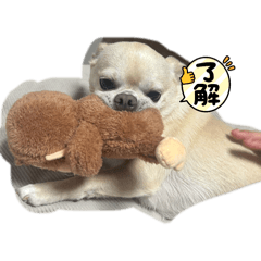 [LINEスタンプ] 〜こは〜スタンプ