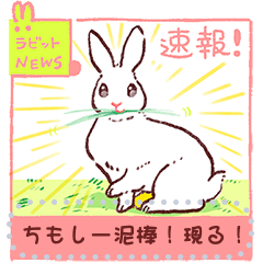 [LINEスタンプ] しゃべれる！うさぎ！