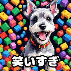 [LINEスタンプ] 表情で遊ぶミニチュアシュナウザースタンプ