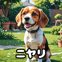 [LINEスタンプ] 毎日使える表情豊かな犬のビーグルスタンプ