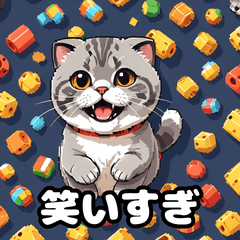 [LINEスタンプ] 40表情スコティッシュフォールド猫スタンプ