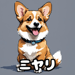[LINEスタンプ] 表情いっぱいコーギー