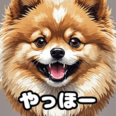 [LINEスタンプ] ポメラニアン百面相スタンプ