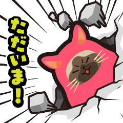 [LINEスタンプ] 毎日使える着ぐるみネコまろんとごまと仲間