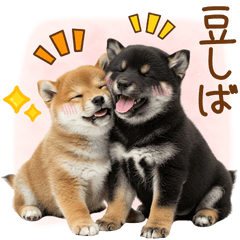 [LINEスタンプ] ゆるかわ！豆しばの日常スタンプ