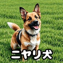 [LINEスタンプ] 犬のシェパード表情スタンプ