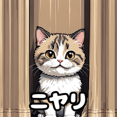 [LINEスタンプ] 40表情マンチカン大集合！