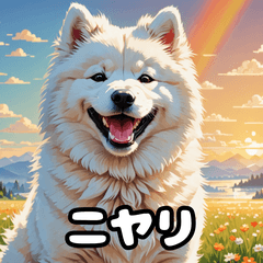[LINEスタンプ] 表情豊かなもふもふサモエドが大暴れ！