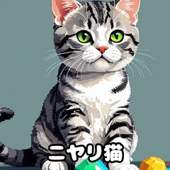 [LINEスタンプ] 40表情アメリカンショートヘアねこ