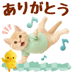 [LINEスタンプ] ▶飛び出る癒しにゃんこの敬語スタンプ