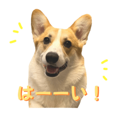[LINEスタンプ] ロイ坊スタンプ2