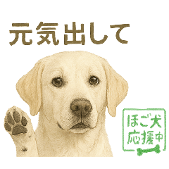 [LINEスタンプ] 推しワン★ラブラドールのやさしい言葉