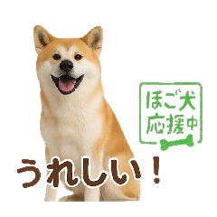 [LINEスタンプ] 推しワン★秋田犬スタンプ・ほんわか感情便