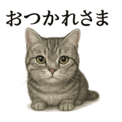 [LINEスタンプ] 仕事終わりの一言〜リアルなマンチカン子猫