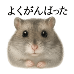 [LINEスタンプ] 仕事終わり一言〜ジャンガリアンハムスター