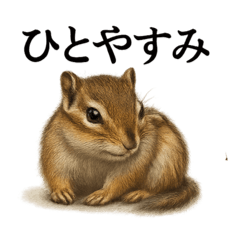 [LINEスタンプ] 仕事終わりの一言〜リアルで可愛いシマリス