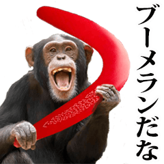 [LINEスタンプ] 煽り☆チンパンジー 5