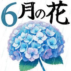 [LINEスタンプ] 6月の花 大きくて見やすい挨拶スタンプ