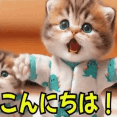 [LINEスタンプ] ほんわか動物の毎日スタンプ