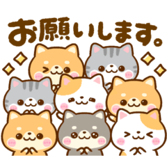 [LINEスタンプ] 仲良し猫ちゃん♡豆柴犬ちゃん