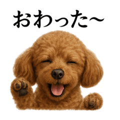 [LINEスタンプ] 仕事終わりのひとこと｜トイプードル