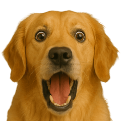 [LINEスタンプ] びっくり顔（犬編）