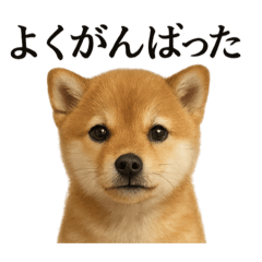 [LINEスタンプ] 仕事終わりの一言｜子犬の柴犬お疲れ