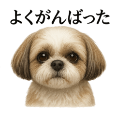 [LINEスタンプ] 仕事終わりの一言｜リアル可愛いシーズー犬