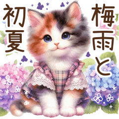 [LINEスタンプ] 今を使える梅雨と初夏の水彩ねこ‎︎✿