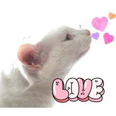 [LINEスタンプ] ひふみ2025