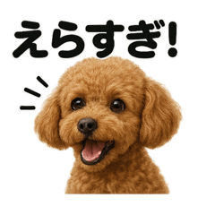 [LINEスタンプ] 【褒め上手】ポジティブなトイプードル