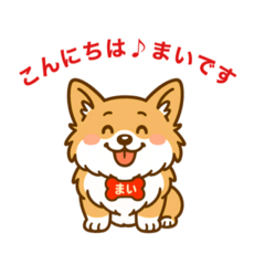[LINEスタンプ] コーギーまいまいその5