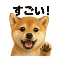 [LINEスタンプ] 【褒め上手】リアル可愛い子犬の柴犬ライン