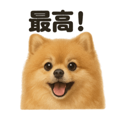 [LINEスタンプ] 【褒め上手】ポジティブポメラニアンLINE