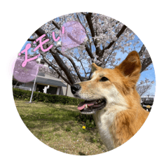[LINEスタンプ] しぇびーの心2