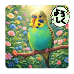 [LINEスタンプ] 「セキセイインコ」のスタンプ