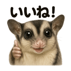 [LINEスタンプ] 【褒め上手】リアル可愛いフクロモモンガ