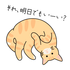 [LINEスタンプ] 猫のコタロー♡