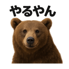 [LINEスタンプ] 【褒め言葉】リアルすぎるヒグマのLINE