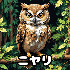 [LINEスタンプ] 40表情ランダムフクロウスタンプ