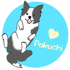 [LINEスタンプ] ゆるふわボーダーコリー パクチー