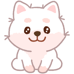 [LINEスタンプ] ホワイト柴犬「マランちゃん」は毎日楽しい