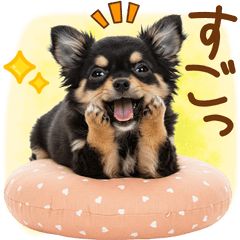 [LINEスタンプ] ゆるかわ！チワワの日常スタンプ